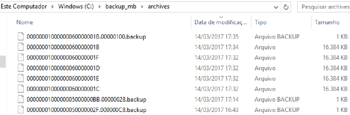 Dunamis/Maxicon Balança/MB > Tarefa: Backup Completo via Replicação > image2019-4-26_9-35-55.png