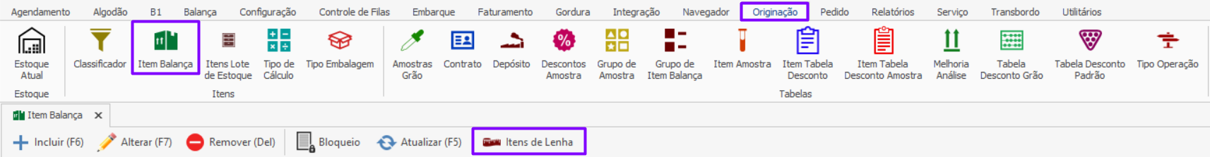 Dunamis/Maxicon Balança/MB > 1. Configuração Itens de Lenha > image (10).png